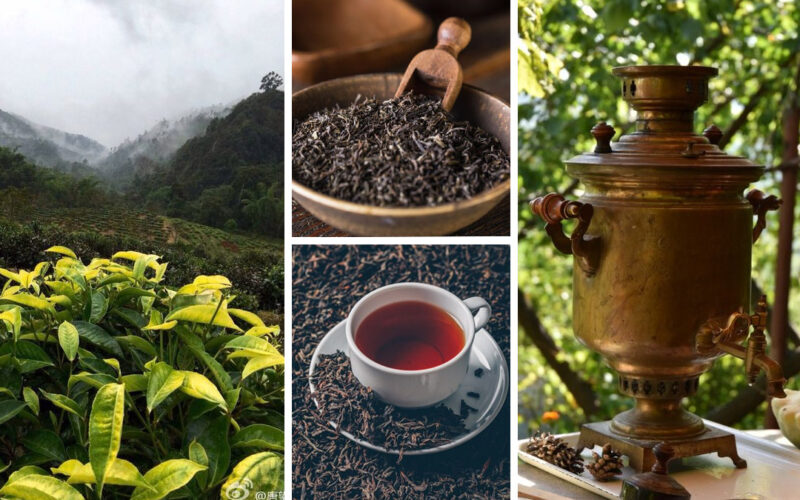 Странные и необычные свойства чёрного чая
